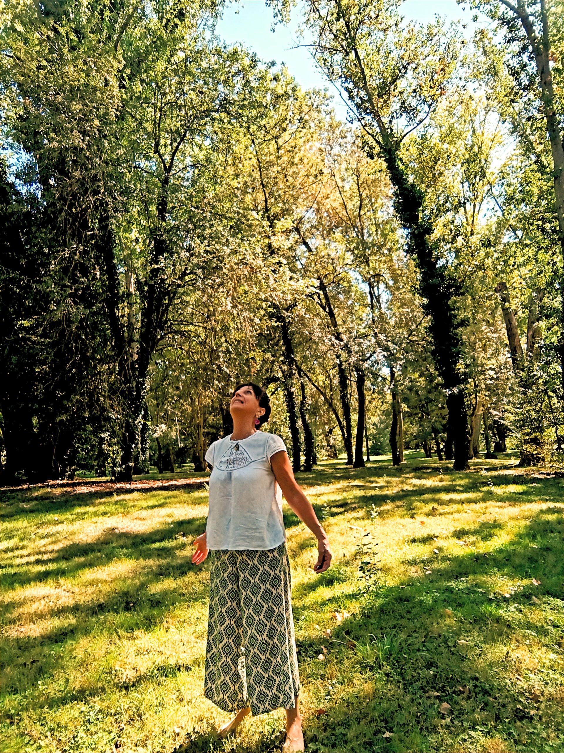 méditation forêt